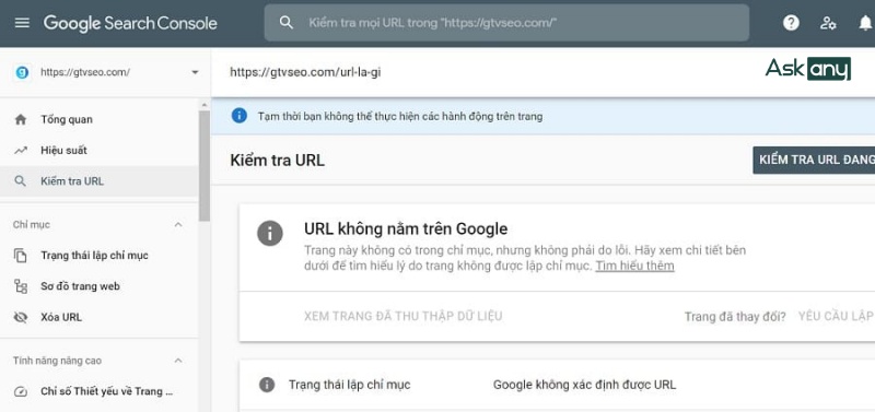 Kiểm tra URL