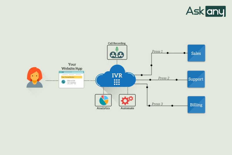 IVR là gì?