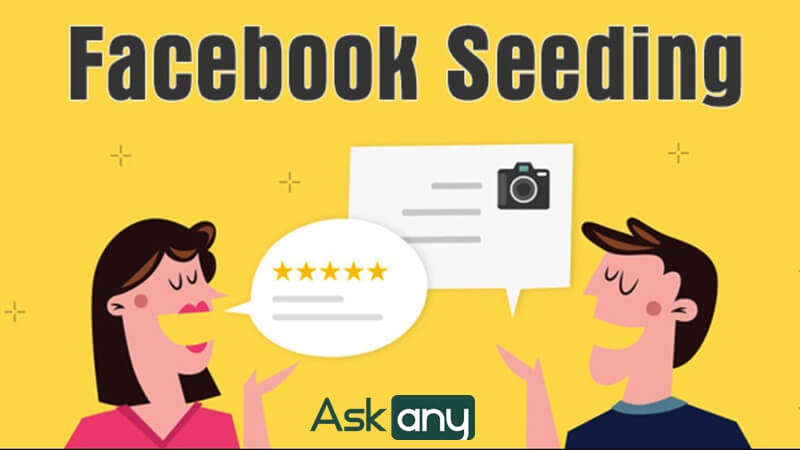 cách seeding trên Facebook